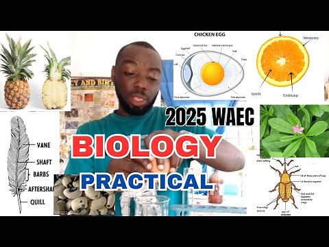 2025 WAEC Biology Practical Specimen Tutorial questions and Answers