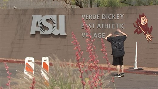 Man hospitalized after being attacked by bees at Tempe’s ASU soccer stadium