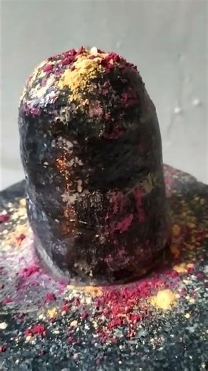 shiv shambhu Ko jisne puja #shorts #trending #youtubeshorts #viral #love #holi #song #viralvideo #ॐ