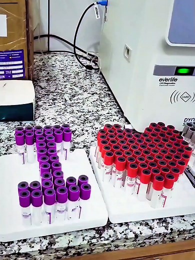Exploring the Lab: Understanding Microscopes and Disease