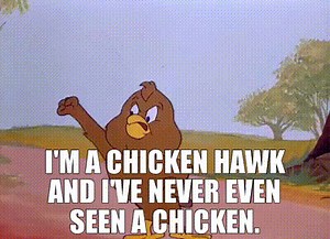 I'm a chicken hawk and I've never even seen a chicken.