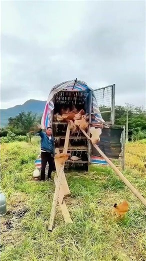 Rural Uncle’s ‘Mobile Chicken Coop’ Is Super Creative!