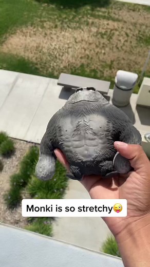 Stress Monki on TikTok