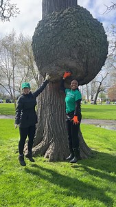 We were thrilled to welcome volunteers from @MandT_Bank’s finance and technology departments to Riverside Park on Tuesday morning! 李 Thank you for helping to beautify the River Rock Garden for the upcoming park season! Special thanks to M&T Bank for supporting BOPC’s Volunteer program in 2025! Learn more at bfloparks.org/volunteer | Buffalo Olmsted Parks Conservancy | Facebook