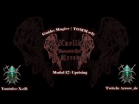Neverwinter | Modul 17 | Magier Guide | CW | TOMM | So spiele ich ihn! (PC/Xbox/PS4)