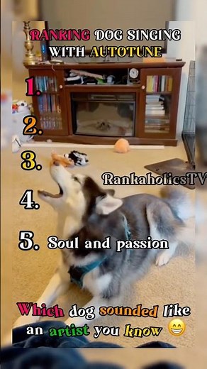 RANKING DOGS SINGING WITH AUTOTUNE 😂😂 #funny
