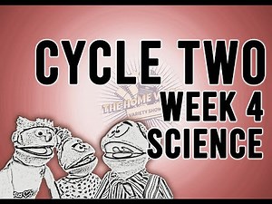 Cycle 2 Week 4 Science: Parts Of The Food Chain
