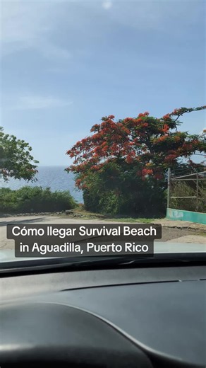 Cómo llegar Survival Beach in Aguadilla, Puerto Rico. Te estaciona en Surfer's Beach, Aguadilla. Desde allí, sigue el sendero a través del bosque costero. Caminarás por un hermoso bosque costero, cruzando terreno rocoso y raíces de árboles que hacen el recorrido más aventurero. Duración: Entre 25 y 30 minutos por trayecto, dependiendo de tu ritmo. Recomendación: Lleva calzado cómodo, agua y prepárate para disfrutar de unas vistas espectaculares. #puertorico #aguadilla #survivalbeach #playa #pfkn