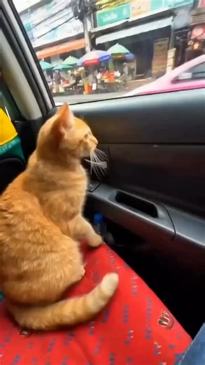 God Drawing Collection part-7 ✨ Shorts viral #viralvideo #shorts #trending #viral #ytshorts #foryou