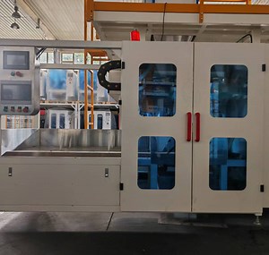 [Hot Item] Premium Grain Rice Premade Bag Packing Machine Bagging Machine