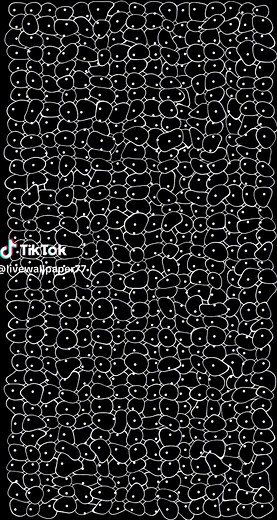 Live Wallpaper on TikTok