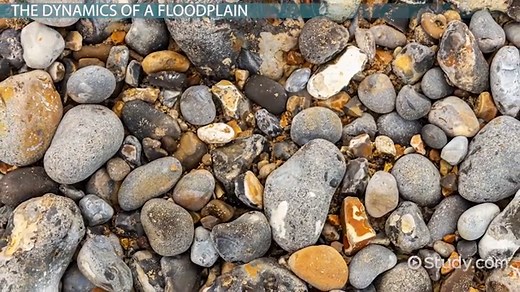 Floodplain | Definition, Diagram & Examples