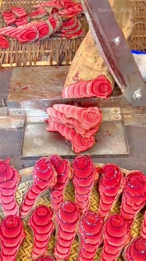 slicing a red herbal root using a traditional cutter to prepare thin pieces for drying or medicine