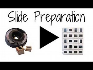 Slide Scanning Prep Tips & Ideas