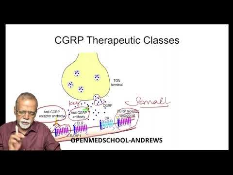 CGRP Based treatment of migraine