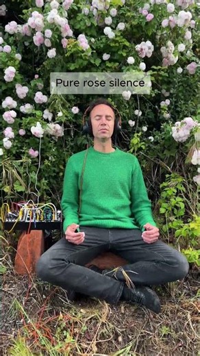 Pure Rose Silence 🌹 | 432Hz Living Plant Sound for Deep Presence