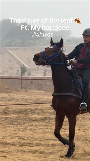Shiv Shakti Vardhan Bhatia on Instagram: "Third rule of the leaf | aura farm #horses #horseriding #aurafarm #thirdruleoftheleaf🍁"