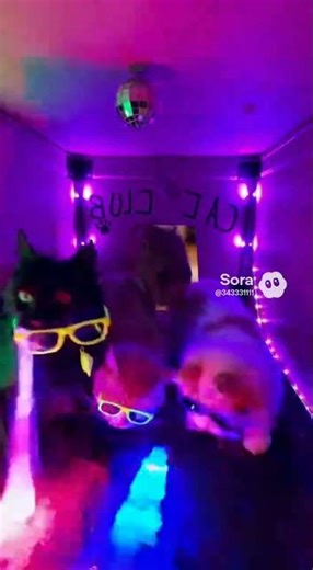 New Guest in the Club — Capybara