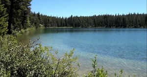 US Forest Service youth programs' deadlines next month