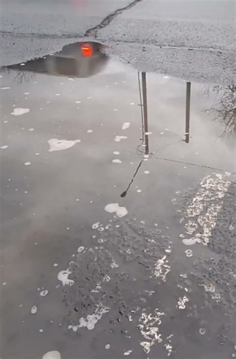 prettiest puddle in Pullman wa by far/tis true, I'll bet you a penny with which we can buy a star!