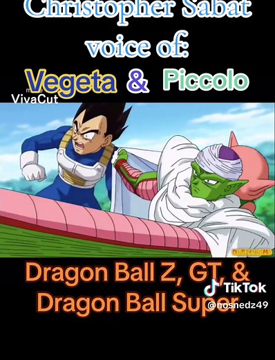 Christopher Sabat: Voice of Vegeta and Piccolo