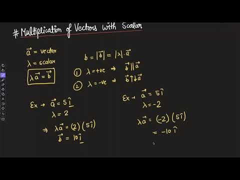 🚀 Vectors: The Backbone of Physics | Lec -02 | NDA | CDS | Class 11th