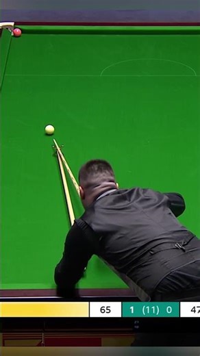 Make Sure You Do NOT Pot It