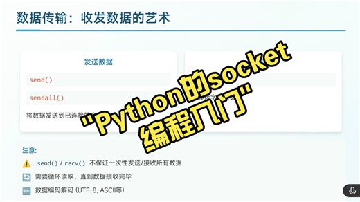 84集Python的socket编程入门