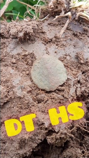 DT à peine identifiable 😓 #metaldetecting #metaldetector