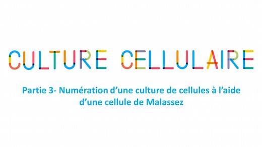 La boite à techniques : Numération d’une culture de cellules à l’aide d’une cellule de Malassez