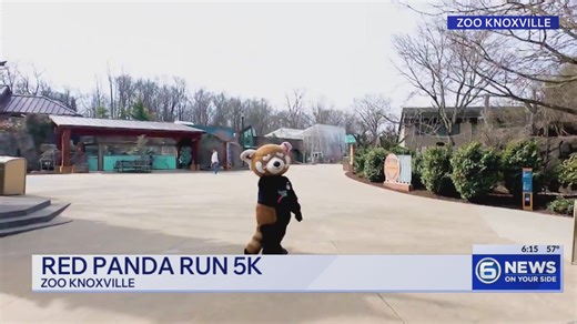Red Panda Run 5k at Zoo Knoxville