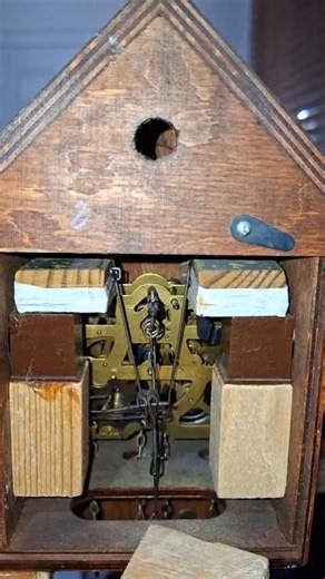Cuckoo Clock Bellows Working #shorts #bellows #cuckooclock #horology #clockwork #oddlysatisfying
