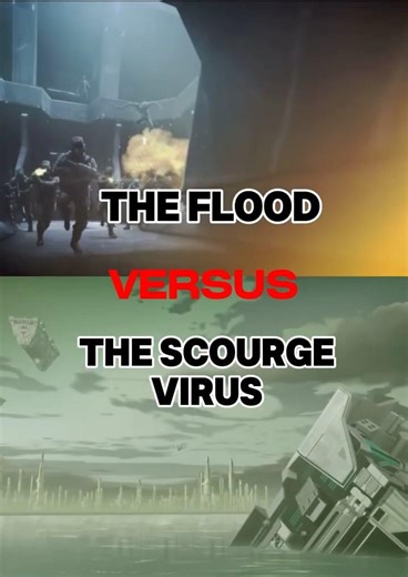 The Flood | Halo | vs The Scourge Virus | Invincible | #halo #invincible #invincibleseason3 #edit