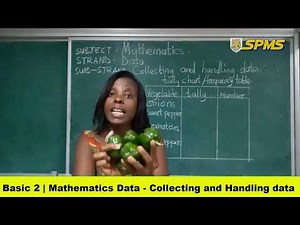 basic 2 mathematics collecting and handling data