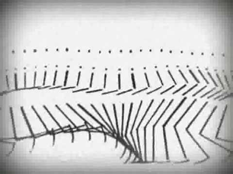 Étienne Jules Marey - L' Homme Machine