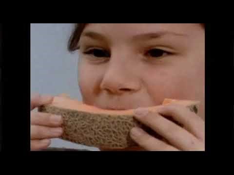 Sesame Street Episode 2909 1991