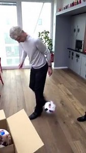 179K views · 2.9K reactions | Arsène Wenger's showboat flick-up in smart shoes Credit: Arsenal French Club | 101 Great Goals.com | Facebook