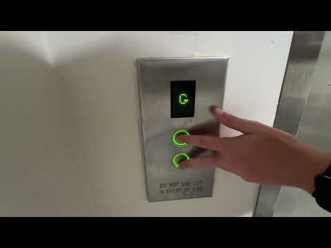 🚫 FIRST LOOK — Freighter Teaser! | 2006 Schindler 300 P @ Rydges, Wellington CBD (Service)