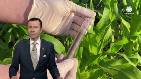Preparing your gardening during early spring