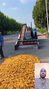 Catapilar for processing maize | Lookman