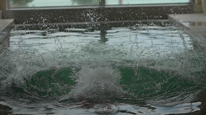 Experience a Dynamic and Playful Splash in a Beautifully Serene Pool Environment