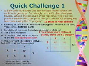 Solving Genetic Problems (Yasser Saad, Ph.D.) General Biology I