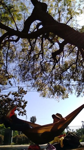 how do you get into a hammock?