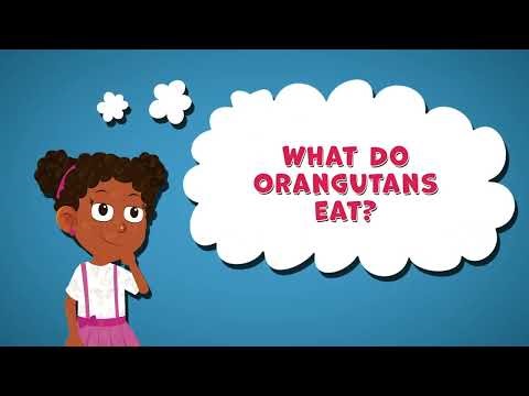 I Wonder What Do Orangutans Eat | Orangutans Facts for Kids | Fun Facts about Orangutans Diet
