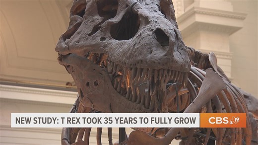 New study finds T-rex took 35 years to fully grow
