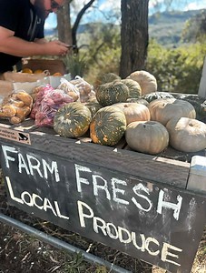 Meet the Makers Wegner Farms seasonal roadside stall offers the simple joy of organic produce, fresh from the farm to your table 🌿 Visitors can enjoy Sebago and Dutch Cream potatoes along with Jap pumpkins, all available seasonally and packed with flavour. Choose from a variety of potato packs, with individually priced pumpkins also available. 💰 The stall operates on an honesty system, so please bring cash. 📍 Located at the corner of Gatton Clifton Road & Spinach Creek Road, Fordsdale. 📲 Fol