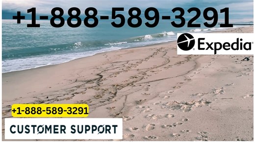 Complete Official Expedia® RESERVATION Number Guide Chat, Email & Calls USA Guide