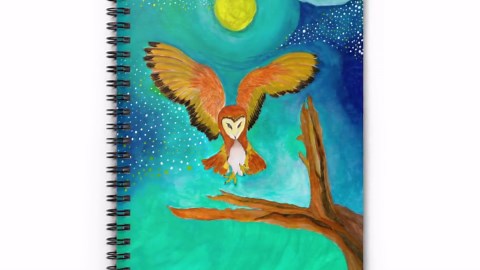 Barn Owl Illustration Spiral Notebook | Moonlight Night Artwork, Ruled Journal - Etsy