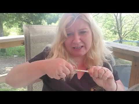 Basic Dental Instruments and Setup with Demonstration