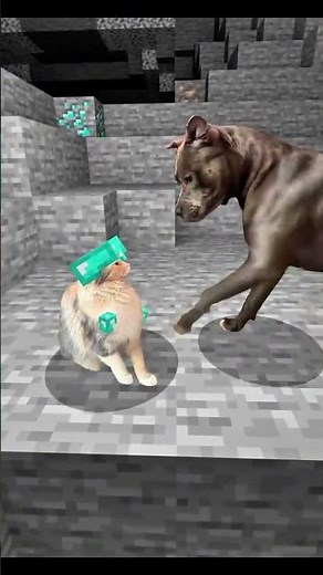 1.1k subscribe soon #minecraft